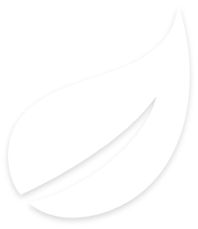 White leaf icon