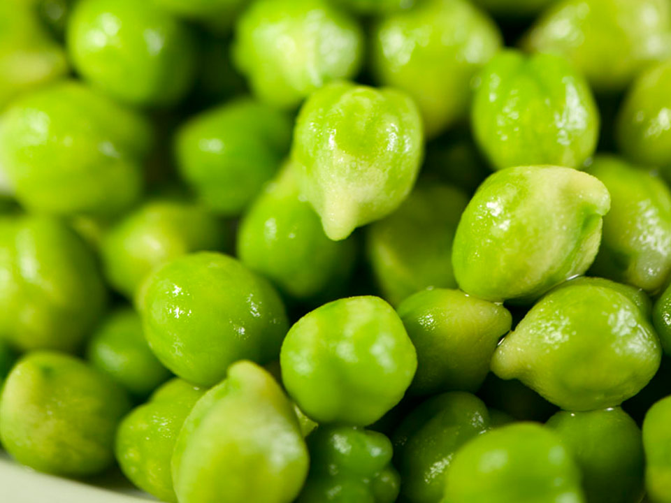 Organic Chickpea Close-Up Image